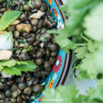 salade lentilles coriandre menthe Youcookme